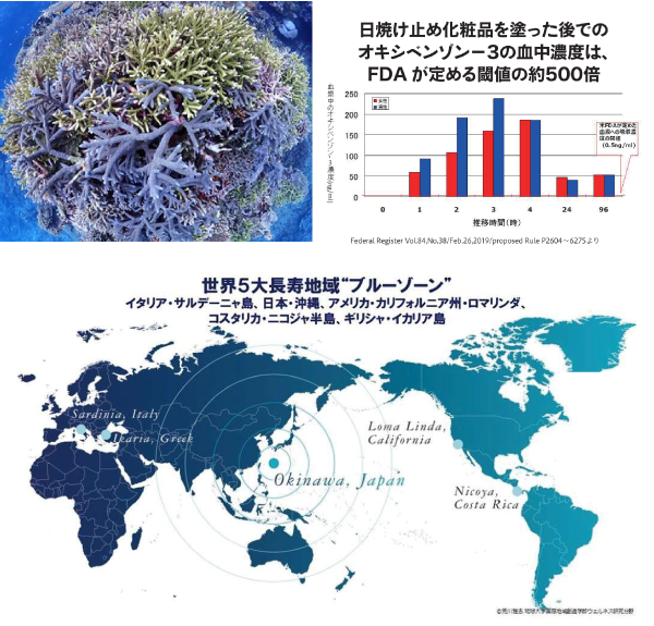 環境・SDGs支援分野